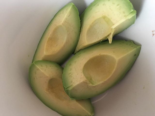 IlsaVanhook's tweet photo. snack time https://t.co/1okBDO2bNT https://t.co/m42I6esqdT