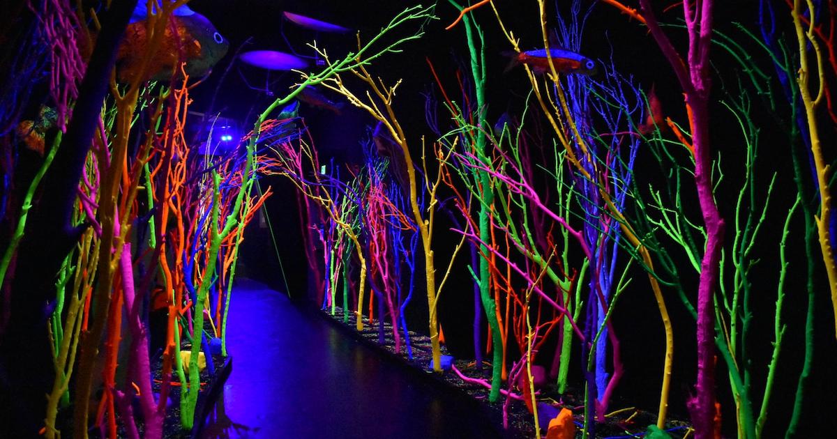 artsy's tweet photo. Meow Wolf will open a hotel with 400 artist-designed rooms: https://t.co/2X3SPlDyEz https://t.co/NbgyRYPFau