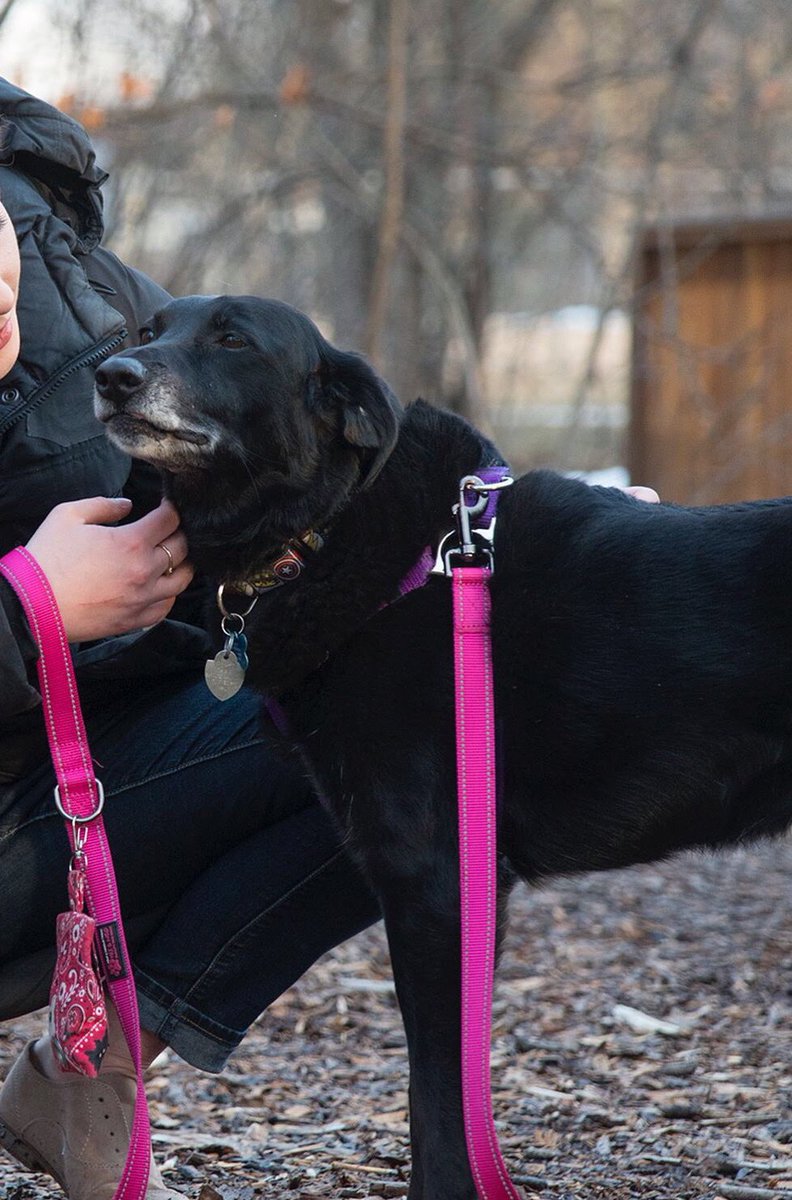 Ms. Rothe tweet media