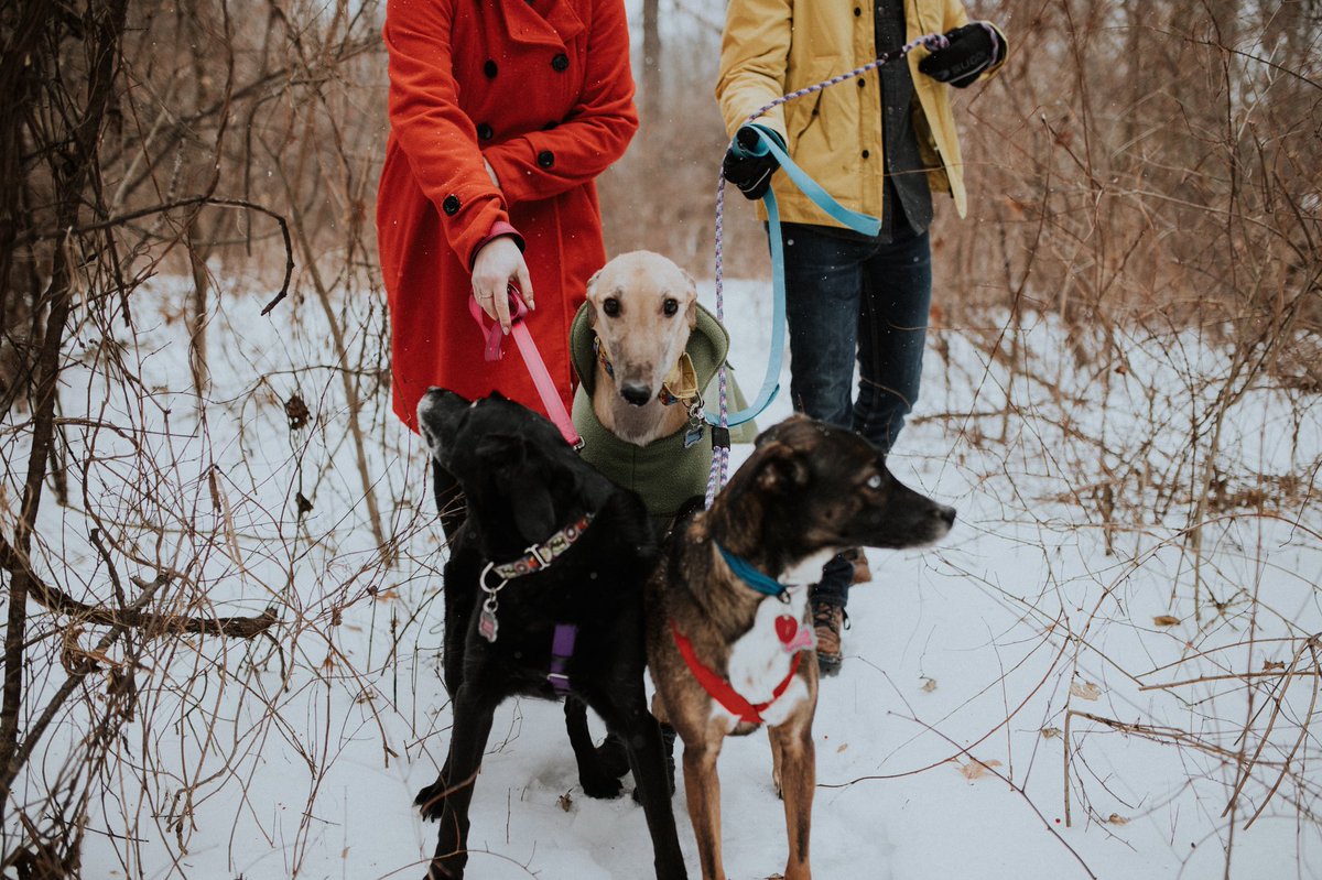 Ms. Rothe tweet media