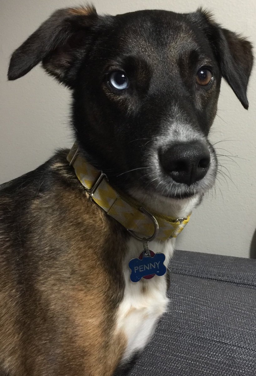 Ms. Rothe tweet media