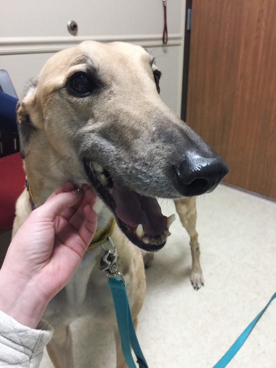 Ms. Rothe tweet media