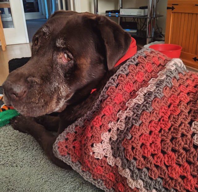 Everyone please meet Alf ❤️ here he is with his smile box 🥰
Enjoy handsome paws 🐾