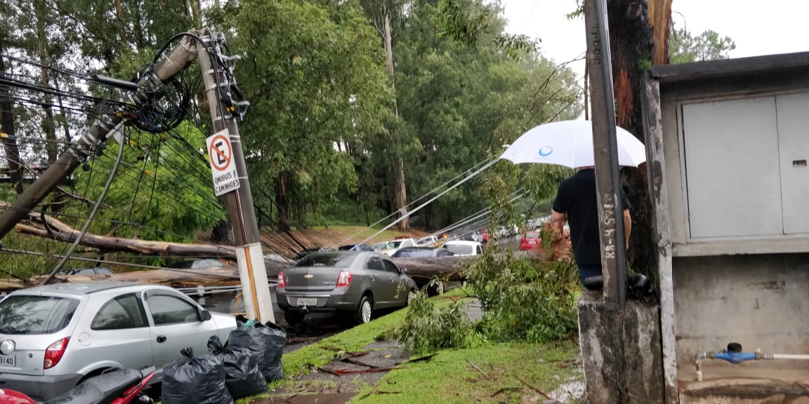 EnelClientesBR's tweet photo. Uma árvore de grande porte caiu agora há pouco na Alameda Xingu, em Alphaville (Barueri). Nossas equipes estão chegando ao local para atendimento. #alertaSP #temporalSP https://t.co/8aUe9k4cvT