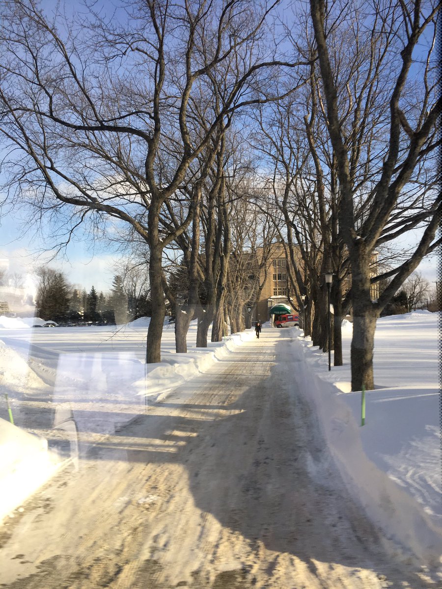 OLPHCS's tweet photo. The adventure has begun ... safe and sound in Quebec City and ready to stretch their legs with a serious walking tour and dinner. #greatteachers #quebecwinter @tcdsb https://t.co/uhVh5bDwlj