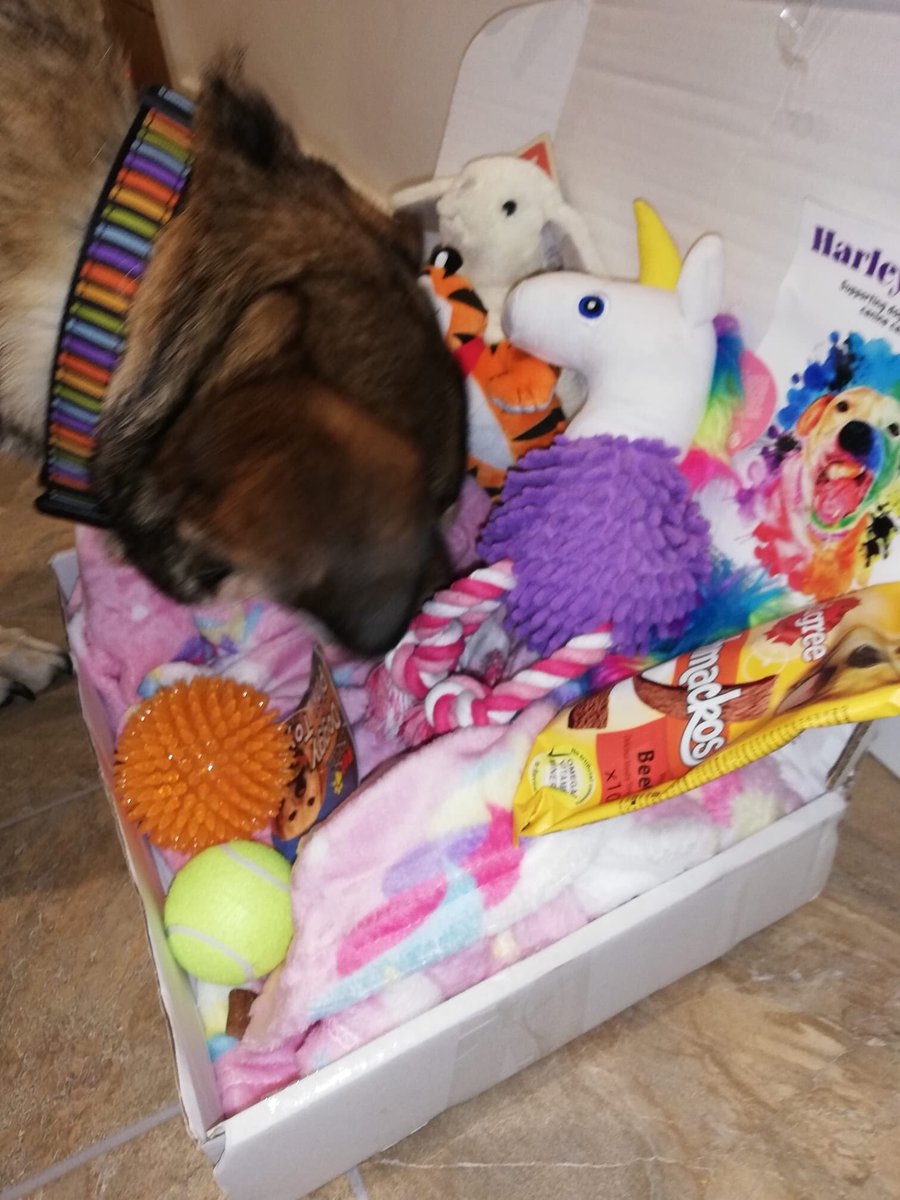 Dayla with her smile box 💗