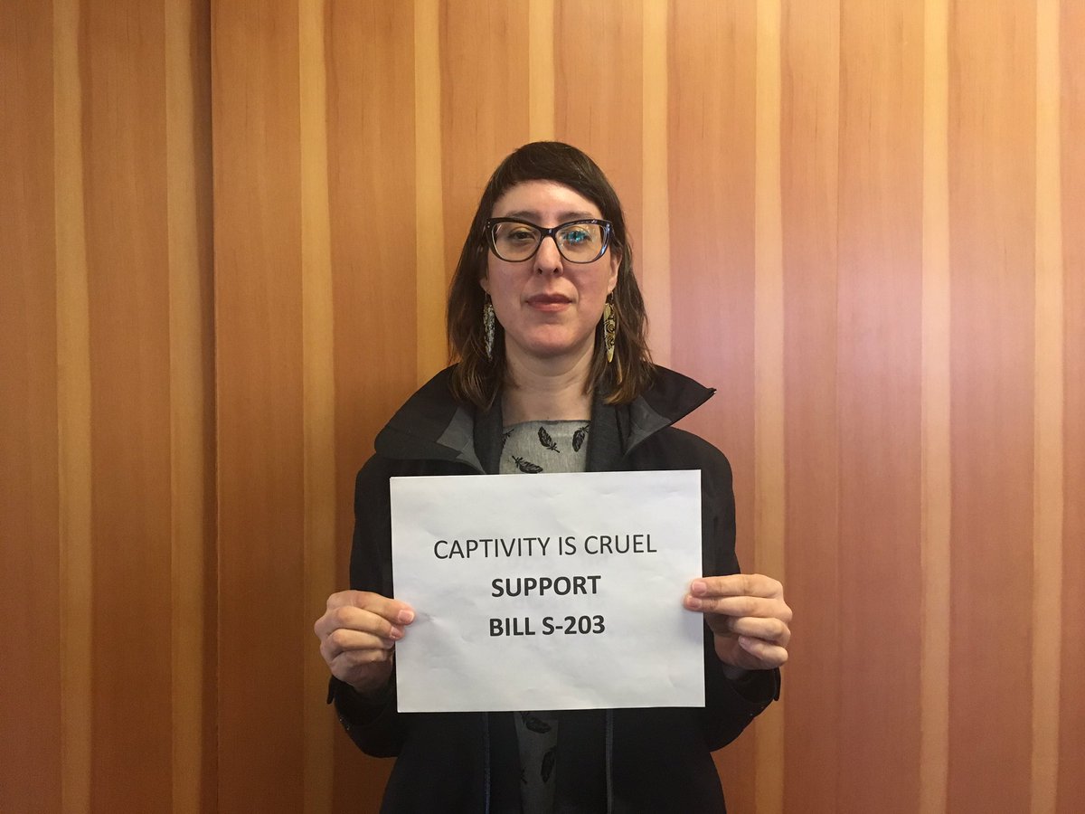 SaldfUbc's tweet photo. Members of the legal community support #BillS203 #cdnpoli Captivity is cruel @FinDonnelly @avalonMPKen @MelArnoldMP @blainecalkinsmp @PatFinniganMP @KenHardie @MorrisseyEgmont @ChurenceRogers @AnimalJustice https://t.co/HIrkJaWp6E