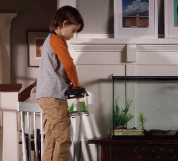 WHAT is going on with these little guys...? 🐢🐢🐢🐢 Find out tonight 9:30/8:30c #SplittingUpTogether