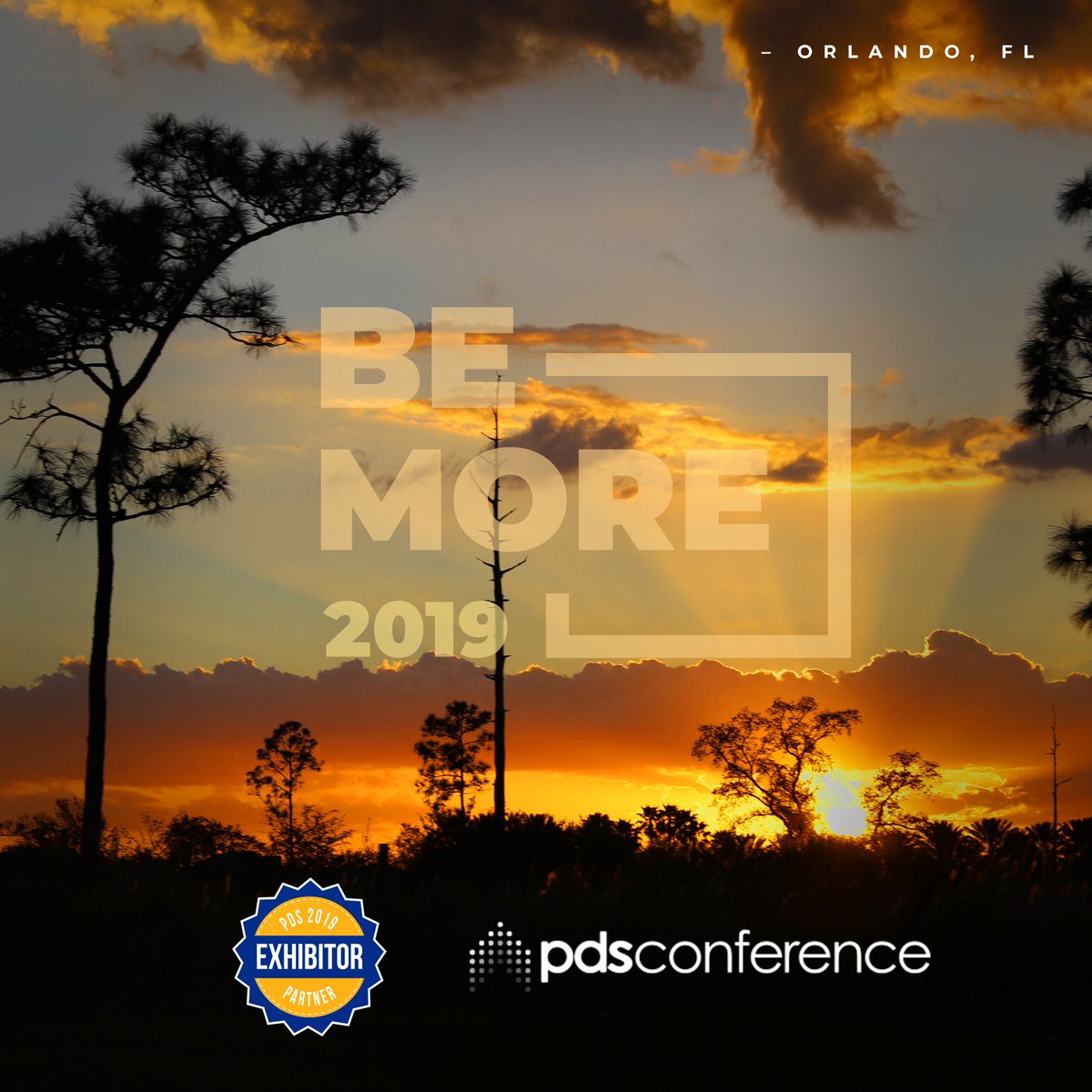 Developrise tweet media