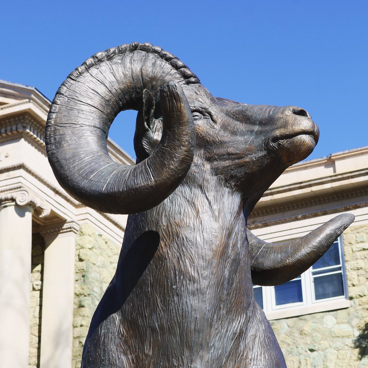 It’s time for a countdown ⏰
Spring Break🌷: 11 days
Banana Day 🍌: 50 days
Graduation Weekend 🎓: 73 days
#RamsUp