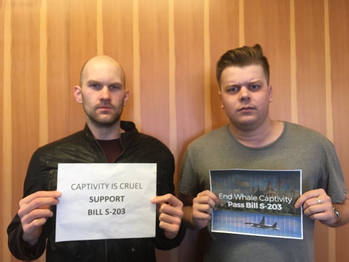 SaldfUbc's tweet photo. Together we can make a difference. Pass #BillS203 #cdnpoli End whale &amp; dolphin captivity @FinDonnelly @avalonMPKen @MelArnoldMP @blainecalkinsmp @PatFinniganMP @KenHardie @MorrisseyEgmont @ChurenceRogers @AnimalJustice https://t.co/YQP162Fc7c