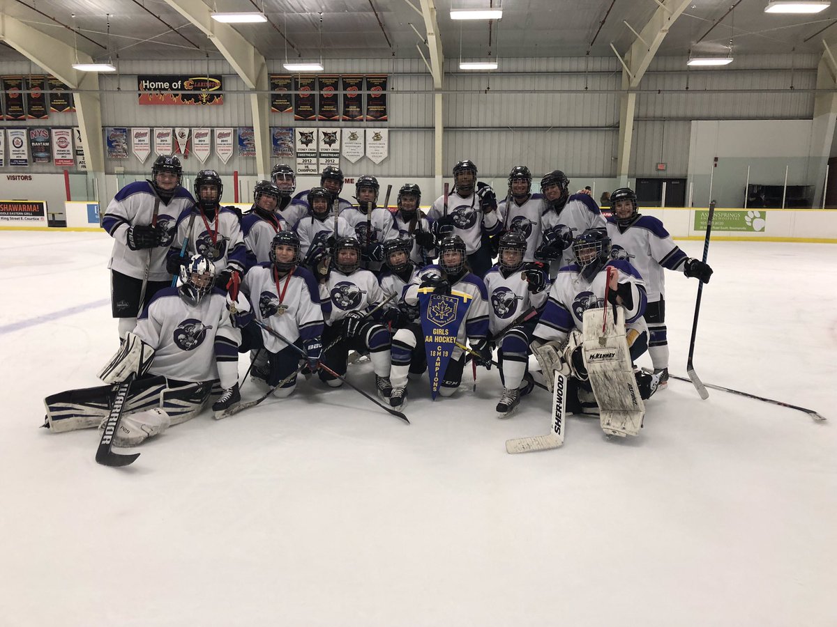 HTCSSPVNC's tweet photo. Girls Hockey Team, LOSSA AA Champs! Way to go girls! #WeAreHT https://t.co/W0h6FpUpRi