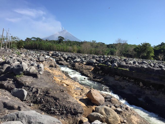 coyolate Últimas noticias y actualidad en vivo Scoopnest