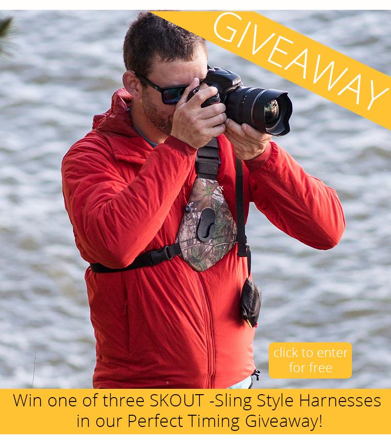 Our Perfect Timing Giveaway ends this Thursday! Win a Skout Sling Style Harness. 
cottoncarrier.com/pages/perfect-…
Ends Thursday Feb 28th.