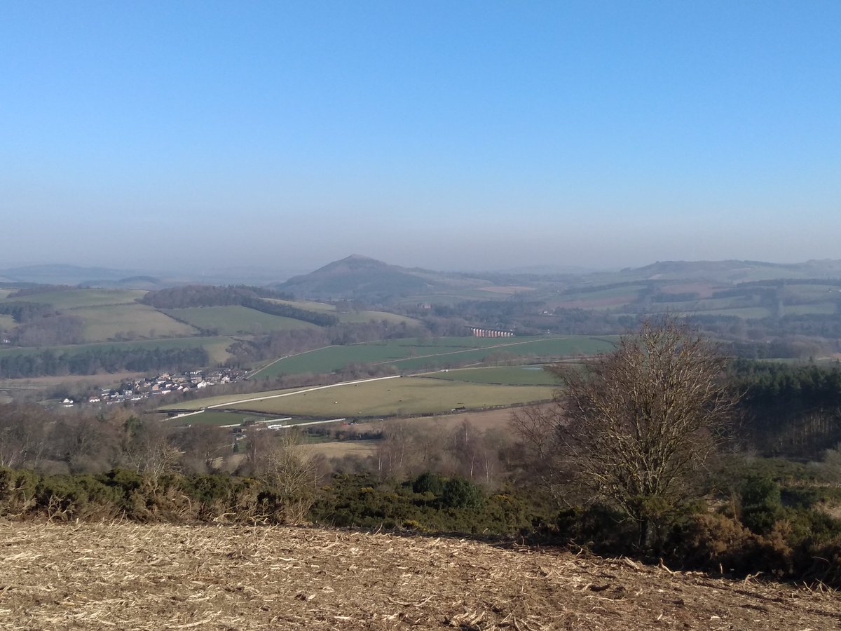EildonRamblers's tweet photo. Still quite #muddy on some tracks going up #Eildonhills today but once up there like to think that's a #heathaze 😂. Whatever, just wonderful! #ScottishBorders #Melrose @L_B_Ramblers @ramblersscot @MelrosePaths @VisitScotland @TrimontiumTrust https://t.co/ti8Hdo3Eet