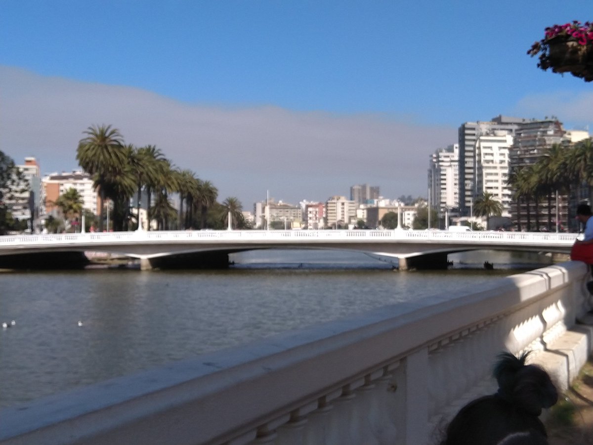 EYBORT's tweet image. 