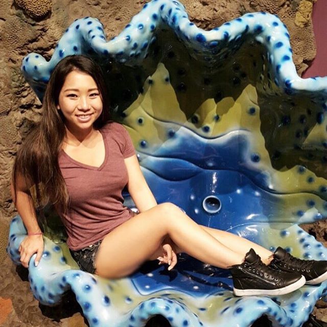 HeyNuggz's tweet photo. What's your favorite sea critter? 🐚🦀🦑🐙🦐🐠🐟🐡🐬🦈🐳🐋 #Nuggz #heyNuggz #twitch https://t.co/HIOtXJqyVE