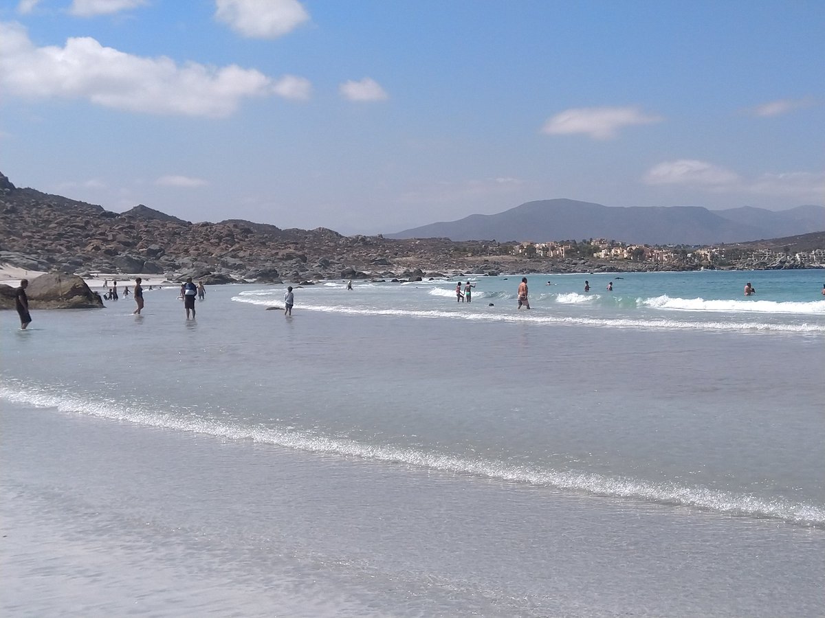 EYBORT's tweet image. Totoralillo