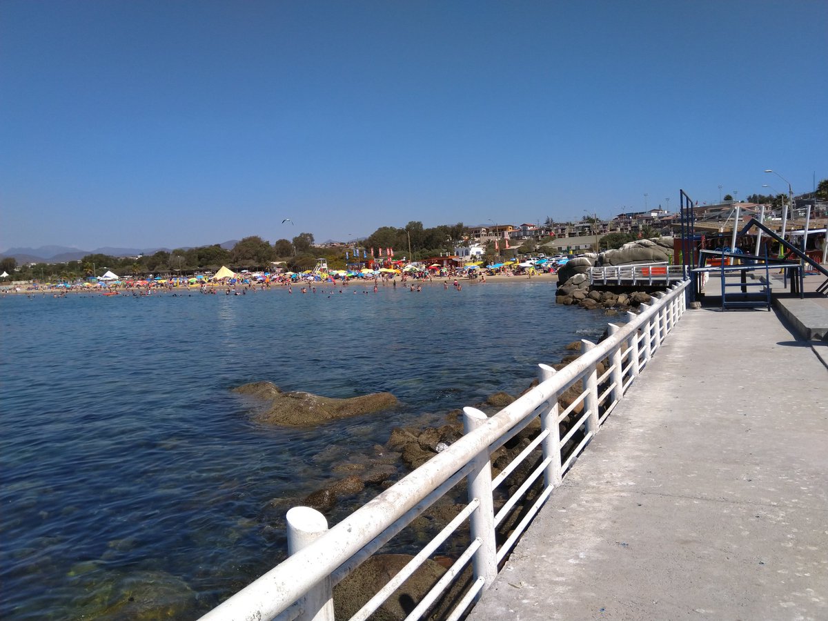 EYBORT's tweet image. Guanaqueros ....