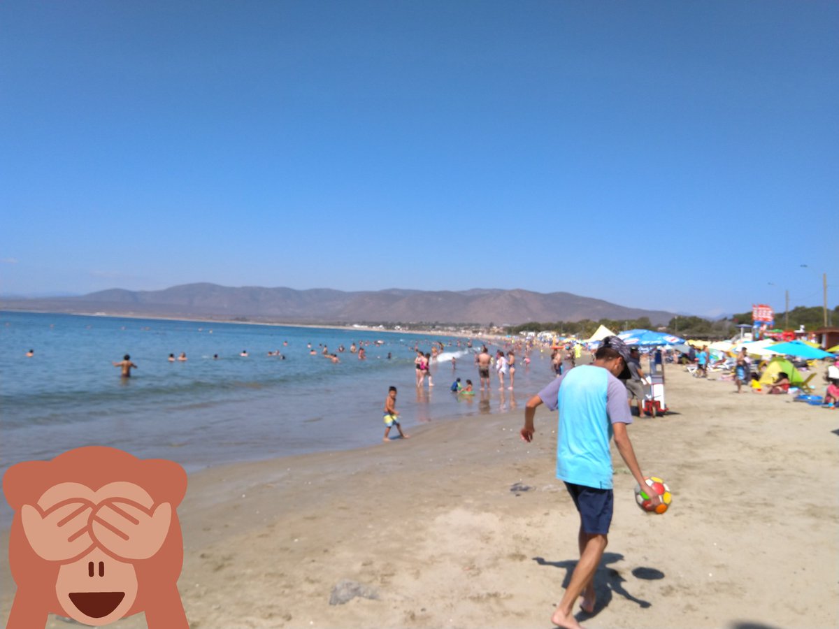 EYBORT's tweet image. 