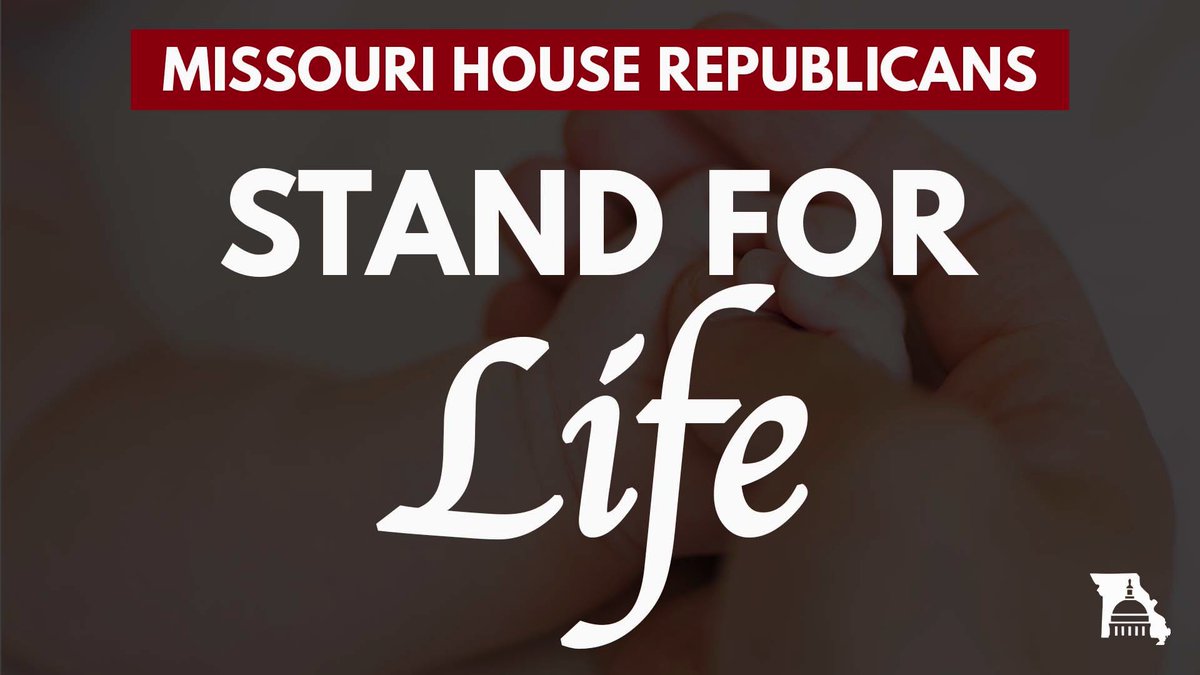 Rudy Veit (@veitrudy) on Twitter photo 