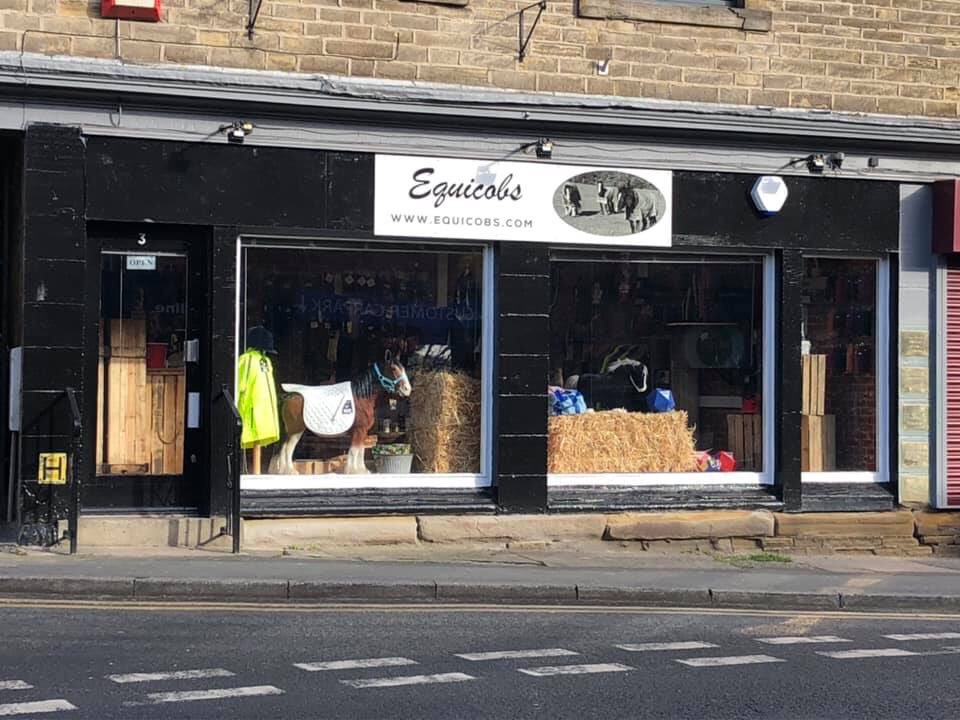 equicobs's tweet image. Looking good in the sun 🌞