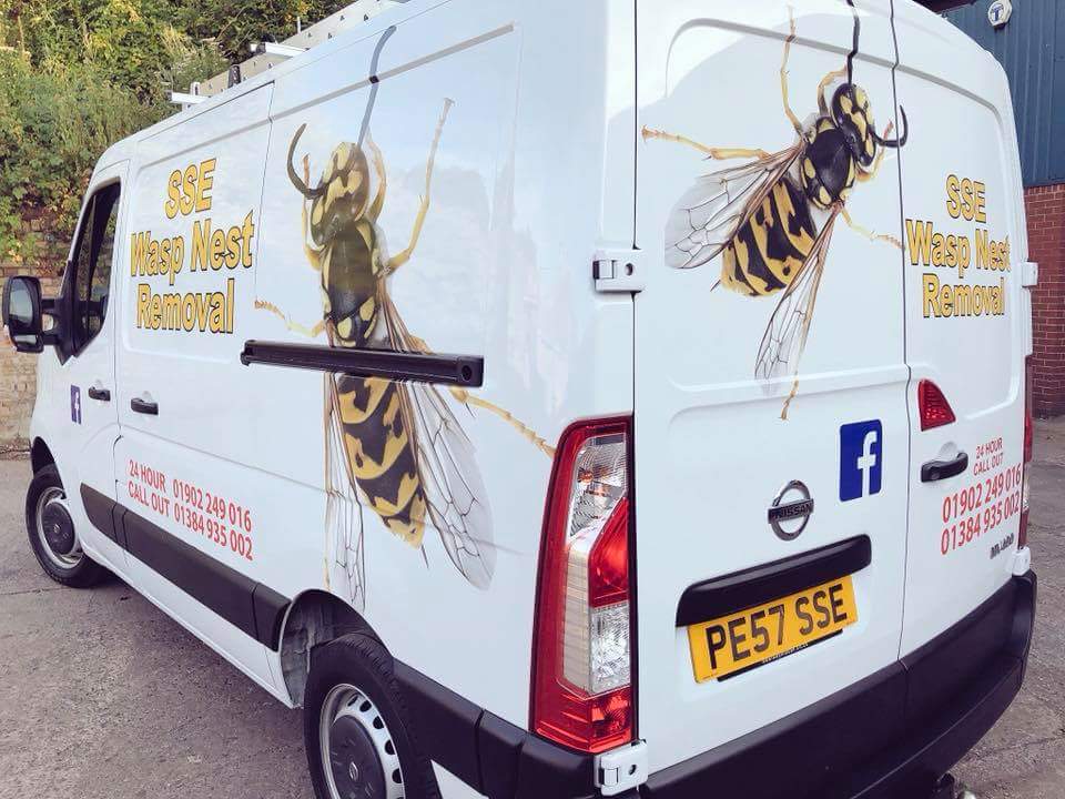 SSEPEST's tweet photo. The calls for #wasps are trickling through due to the #queenwasps emerging from overwintering π
#ssewaspnestremoval #waspnestremoval #sse #ssepestcontrol
#waspvan #pestcontroldudley #Dudley #DudleyRT # https://t.co/LAtOI0sBCP