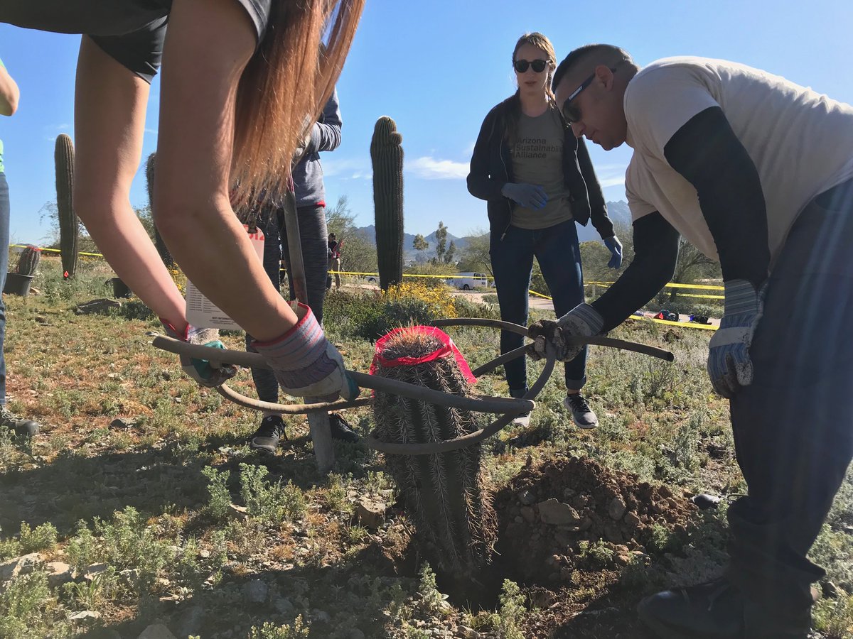 JadDaley's tweet image. .⁦@Microsoft⁩ in action at #GreenBiz19 helping to plant the next generation of saguaro cactus and ironwood trees. Thanks for partnering with ⁦@AmericanForests⁩ ⁦@AzSustain⁩ ⁦@PhoenixParks⁩ to bring this desert landscape back to life!