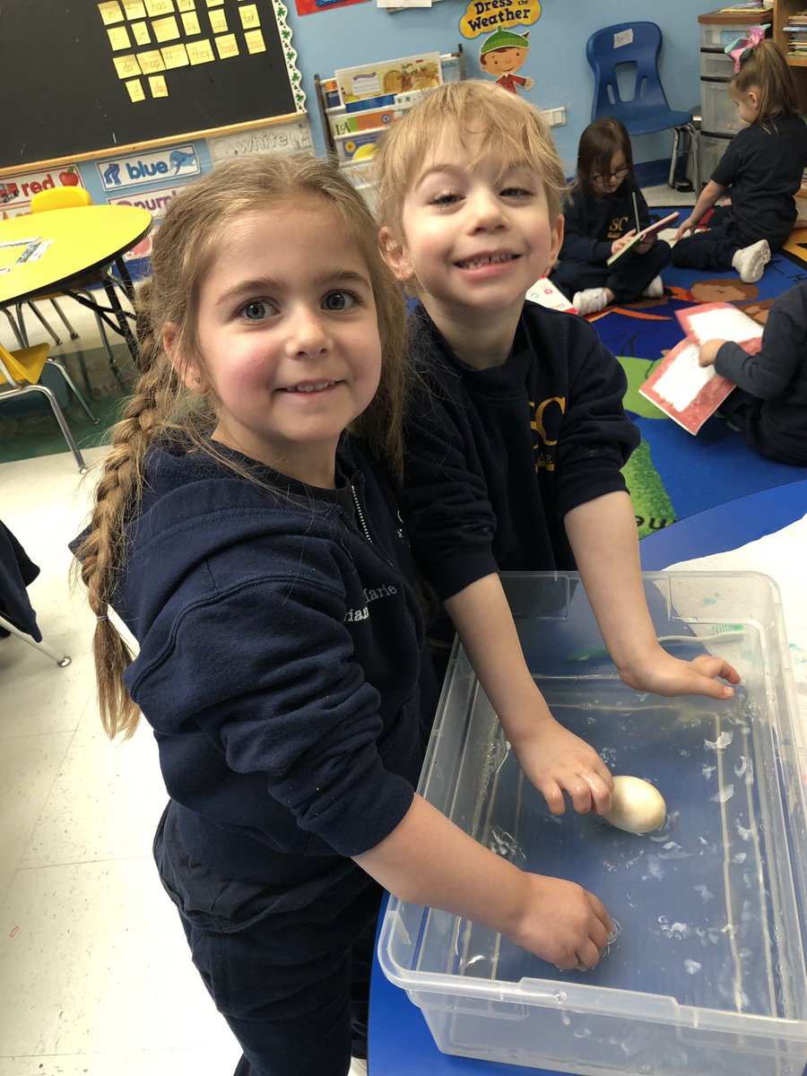 SCS_Prek's tweet photo. Prek 4 had so much fun “Egg-sperimenting” what sugary drinks can do your teeth! We made predictions, participated in a hands on activity and learned so much about our teeth along the way! #prekfun #brushyourteeth #scienceiscool https://t.co/Hn71ZguN5x