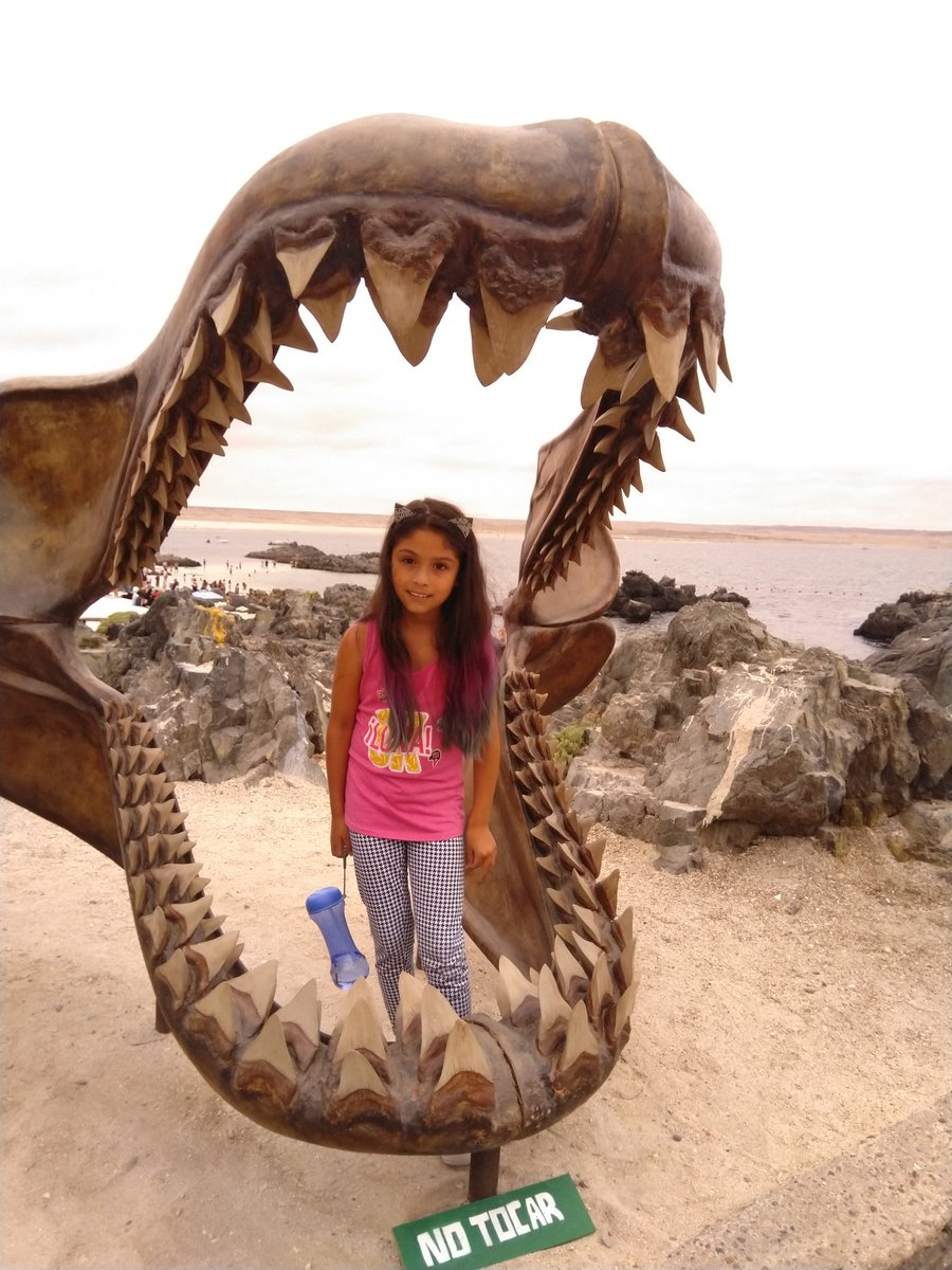 EYBORT's tweet image. Bahía inglesa