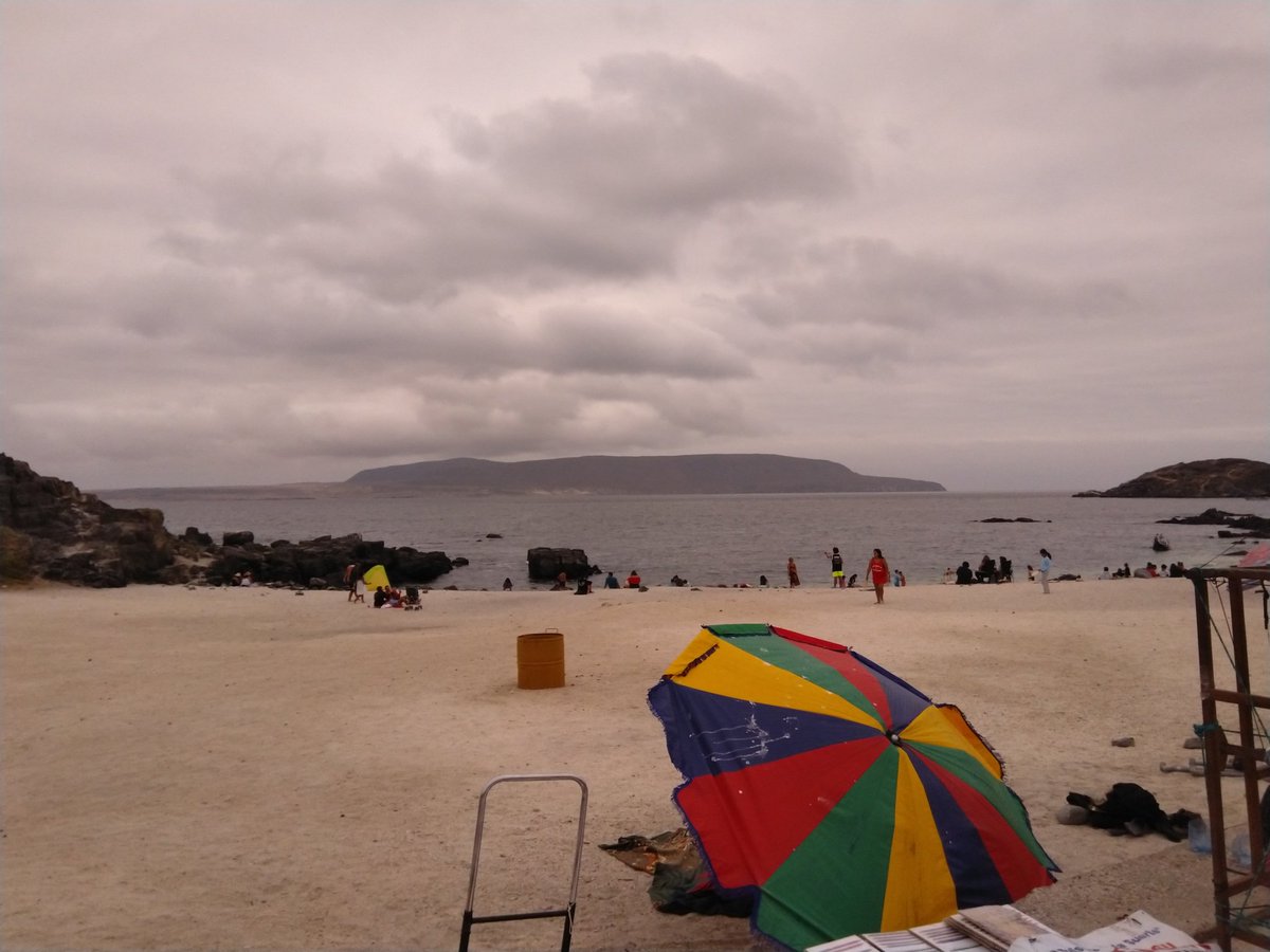 EYBORT's tweet image. 