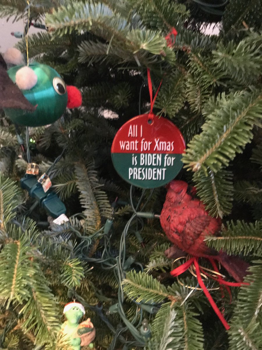 ntramont's tweet photo. Joe Biden@JoeBiden how about a late Christmas present? Run Joe, Run! https://t.co/zPc4Ok5Jwa