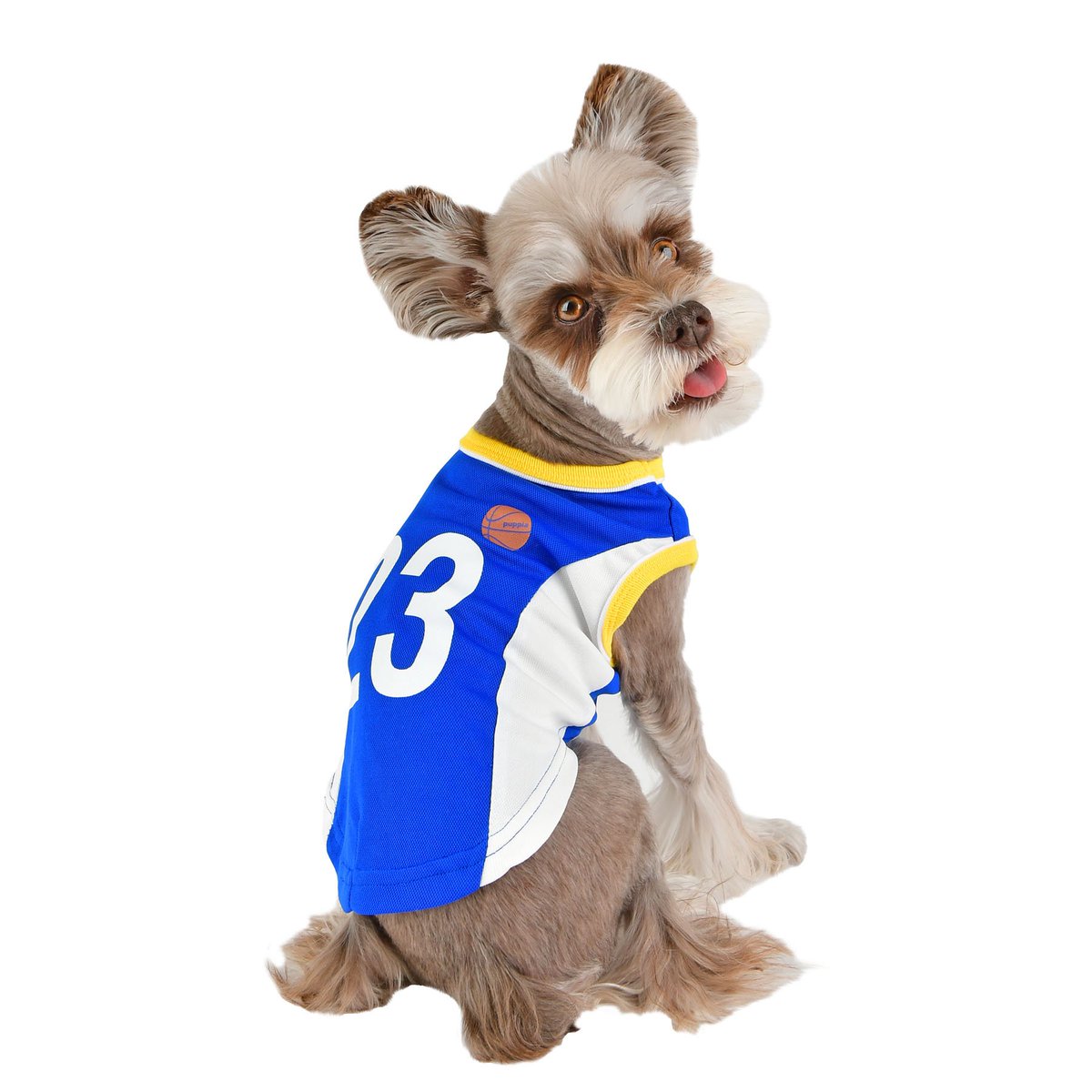 puppiaUS's tweet photo. 2019 Spring and Summer collection for Puppia, Pinkaholic New York, and Catspia will be available starting March 1st. Check out our new products on link below.

https://t.co/tP5bIrQIzl https://t.co/LtPAgNpBtN