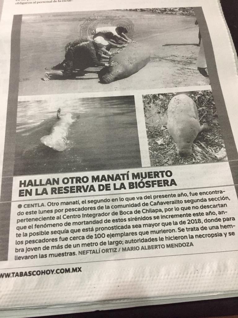 jmhh95's tweet photo. Y mientras él gobierno... qué hace ?? https://t.co/8bNtm3Kd7M