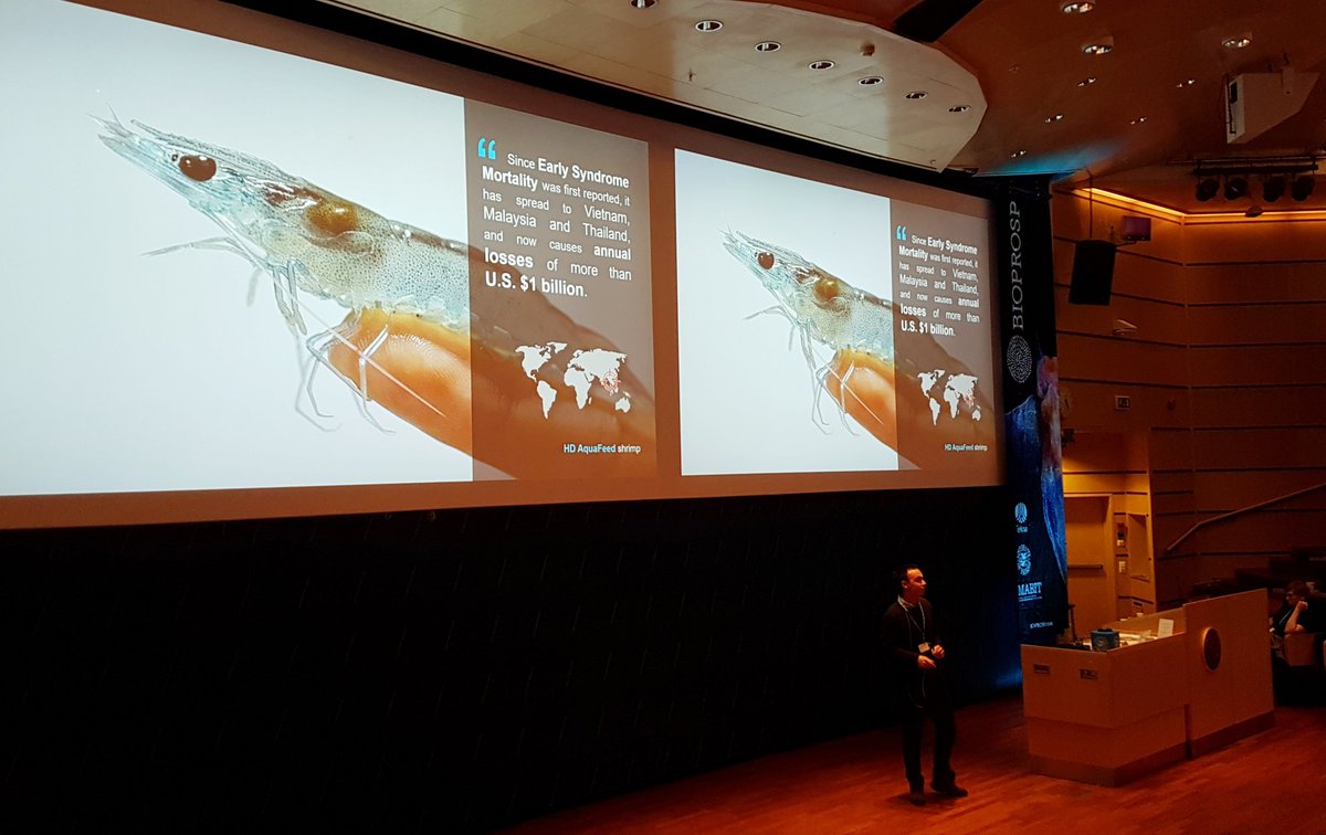 projectAMALIA's tweet photo. #Bluelabs @projectAMALIA product II pitch at @bioprosp

Innovative #seaweed-based feed to decrease mortality and huge losses in #shrimp #aquaculture

@EU_EASME @EU_MARE @projectEUSEBIO @Lemos_lab #Sustainability @ESTM_IPL @FollowBIOMIN  #bluegrowth #earlymortalitysyndrome https://t.co/iDBYdh9yye
