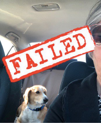 danised's tweet image. Do you reflect on your failures? What if those failures actually lead to your calling? Check it out #LeadChange Blog: buff.ly/2IzL7Uw