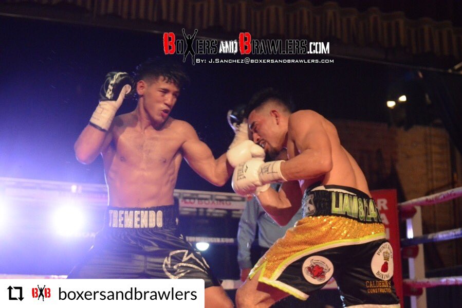 KendoTremendo's tweet photo. #toetotoetuesdays 🦍🥊🦍 San Antonio, Tx will rise in boxing I’m making sure of that ☝️💫 #RememberTheAlamo 🇲🇽🇺🇸 #rivalfamily #Tremendous https://t.co/W7oEXYa8vE