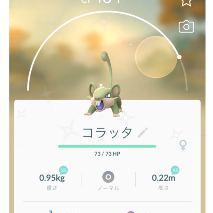 ポケモンgo 色違いコラッタ ポッポは遭遇できてる イベント期間中にゲットしよう ポケモンgo攻略まとめ速報