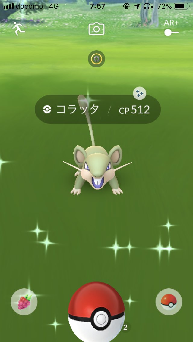 まさとし 色違いコラッタget ポケモンgo T Co Lxopbxxkxr Twitter