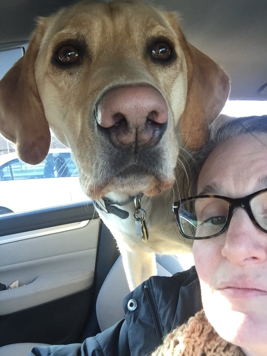 mpisapia6's tweet image. When you realize that you are a tiny person..😂😂😂😂. 80lbs of lovable cuteness. #lifewithmurphy #noteventwoyet