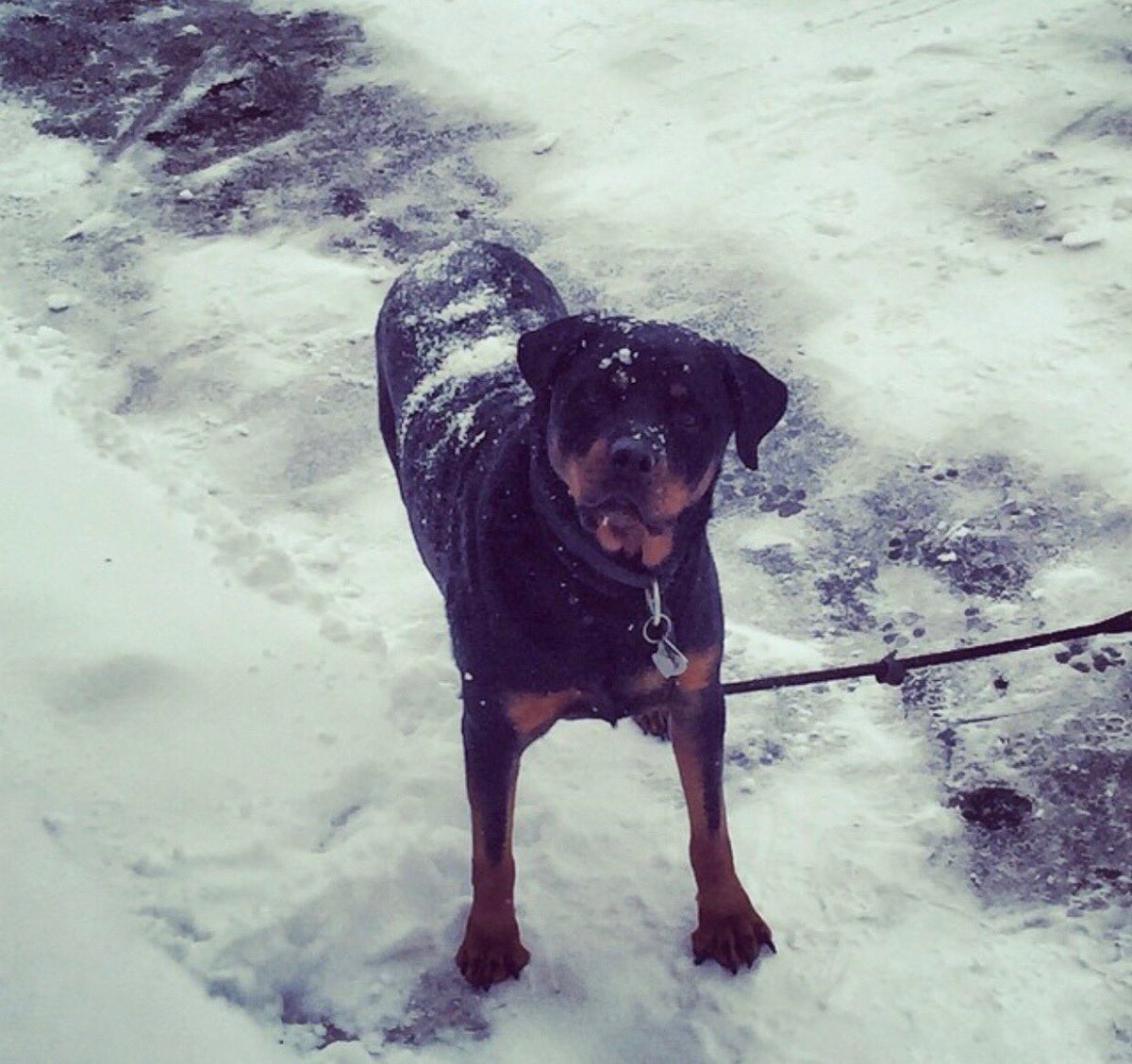 Martin clancy tweet media