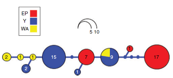 Small marsupial, big dispersal? Work from my #PhD finally making it to print! Paper just out in AJZ on the #genetics of the #endangered sandhill #dunnart <a href="/CSIROPublishing/">CSIRO Publishing</a> <a href="/UniofAdelaide/">Uni of Adelaide</a> check it out! publish.csiro.au/ZO/ZO18054