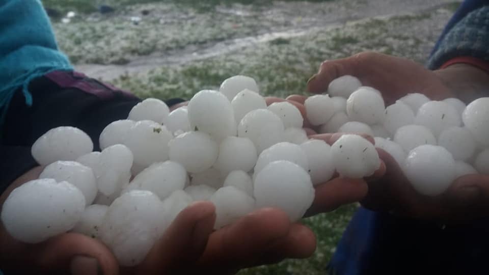 alertarojanot's tweet photo. Ahora ; Severa tormemta de Granizo Destructivo golpea el norte de Potosí #Bolivia 🇧🇴 , municipio #Colquechaca y #Chayanta) Destruyendo cultivos, matando aves de corral y dejando personas heridas #Imagenes https://t.co/m7j3GT7WDU