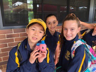 LoretoPrimary tweet media