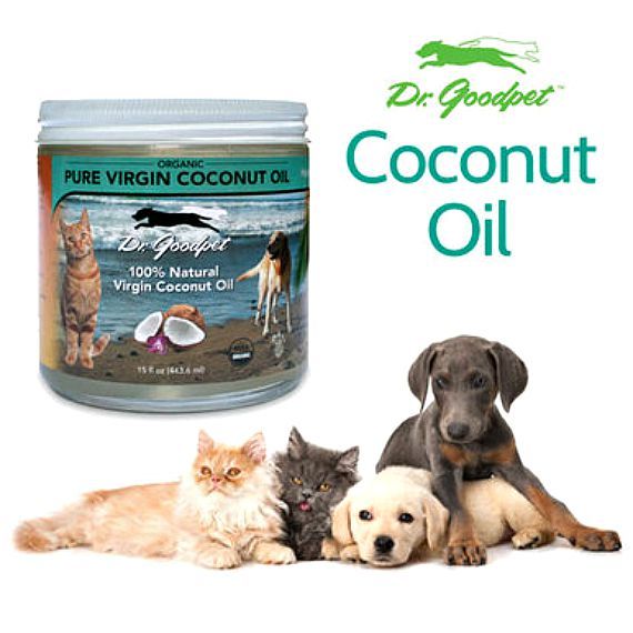 Free 14oz Organic Coconut Oil w/ any purchase of $12.95 or more! Sale ends tonight at 11:59pm. Act Fast! 
buff.ly/2Eyd8rz