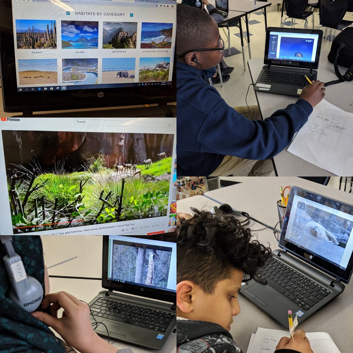 ShawSquad222's tweet image. Using blendspace today to watch live cams of animals at zoos, look at zoo maps, and critique habitat designs and layouts. We are going to be designing our own exhibits soon. #ellscan #crosscurricular #usetechforgood