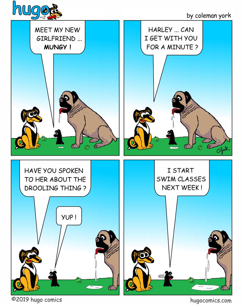HugoComics's tweet image. Harley introduces his new girlfriend, Mungy to Hugo @HugoComics 
#dogs #doghumour #doglife #doglover #doggy #DogFriendly