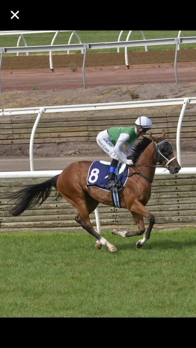 So very excited to have been given the opportunity to partner The Inevitable in Saturday’s Group 1 Australian Guineas. <a href="/TeamBrunton/">Brunton Racing</a> #BringOnSaturday 🌟