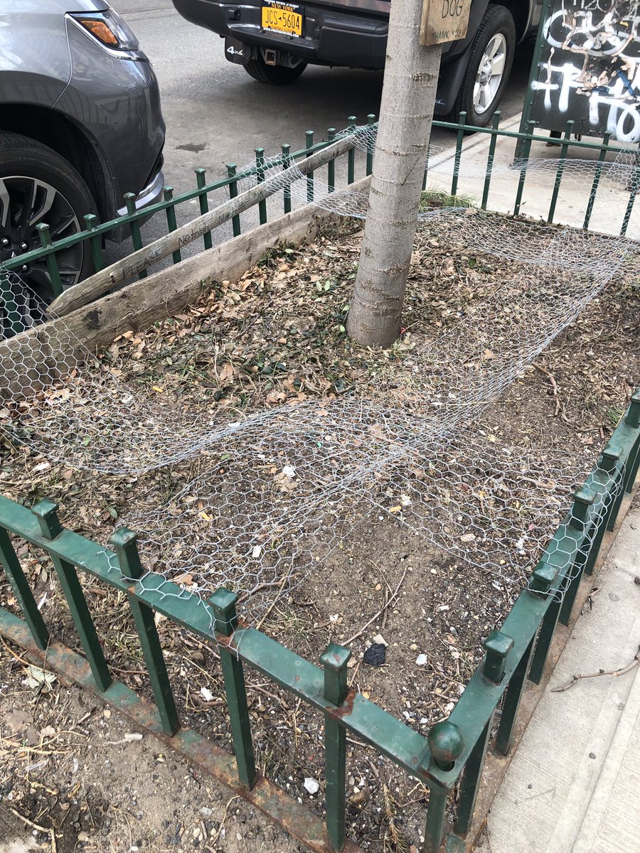 east 6th street has a group of planters draped in drooping swaths of chicken wire with signs that implore in English and Spanish “no trash, no tires, no butts, please curb your dog”. the whole effect is very Harmony Korine.