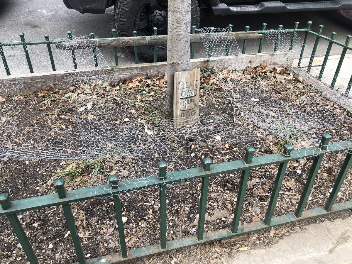 east 6th street has a group of planters draped in drooping swaths of chicken wire with signs that implore in English and Spanish “no trash, no tires, no butts, please curb your dog”. the whole effect is very Harmony Korine.